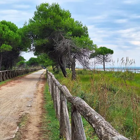 Beautiful Flat With Swimming Pool And Solarium * Bibione