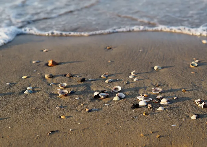 Beautiful Flat With Swimming Pool And Solarium * Bibione